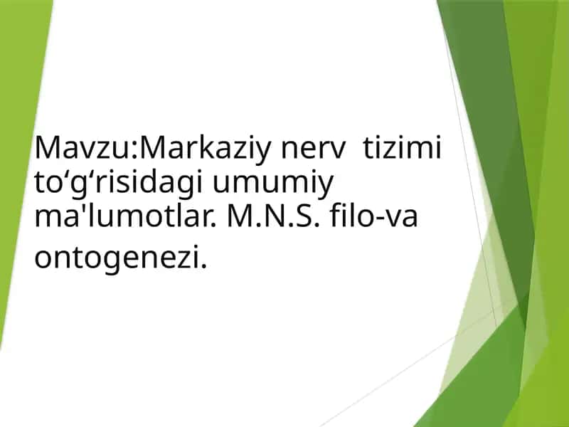Nerv tizimi-tana qismlari va a’zolaming faoliyatini bir-biri bilan bog'labbir butuntizimni hosil qiladivaorganizm faoliyatinitashqi muhit bilan munosabatini boshqaradi 1