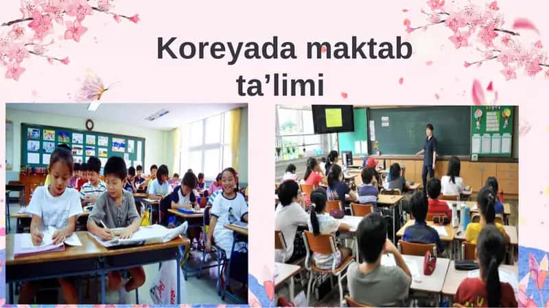 Koreya ta'lim tizimi 1