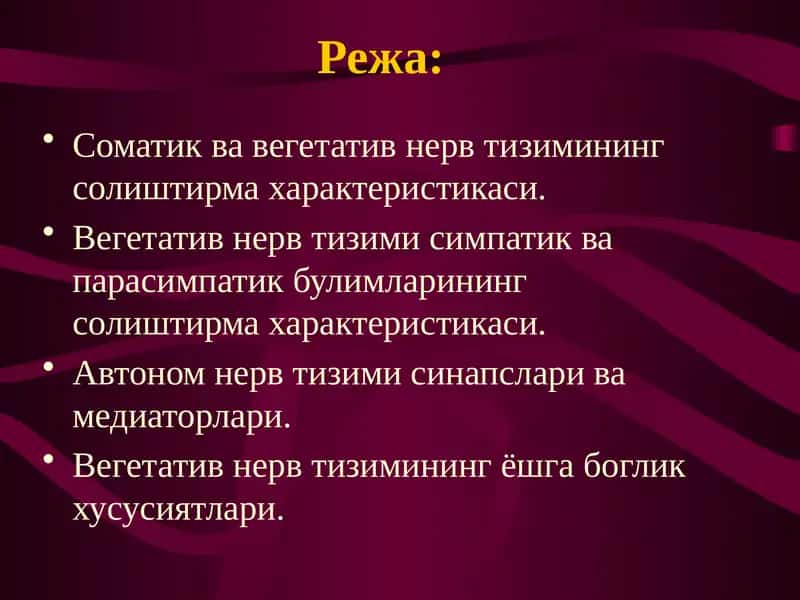 Соматик ва вегетатив нерв тизимининг солиштирма характеристикаси 1