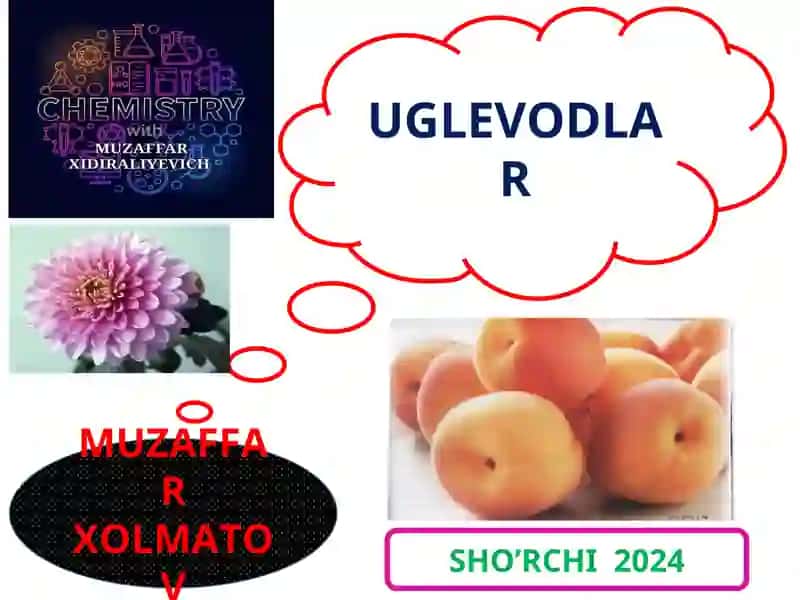 Uglevodlar Sho'rchi 2024