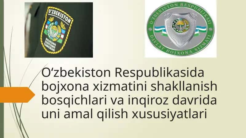 Organlari shakllanish bosqichlari va inqiroz davri 1