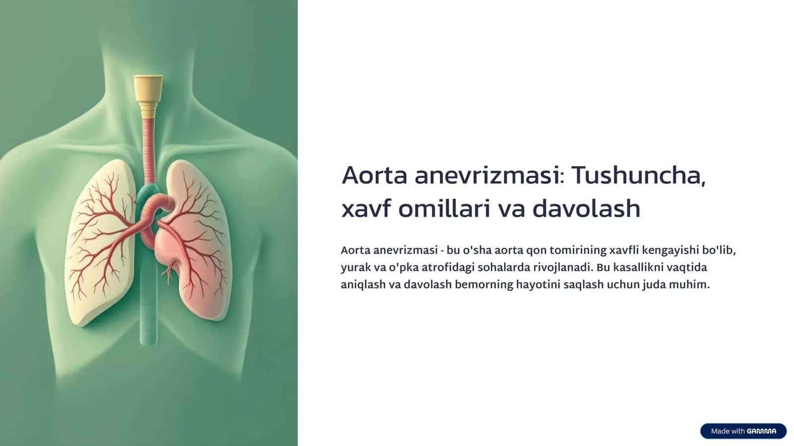Aorta anevrizmasi: Tushuncha, xavf omillari va davolash 1