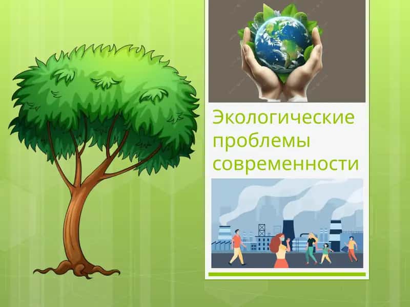 Экологические проблемы современности 1