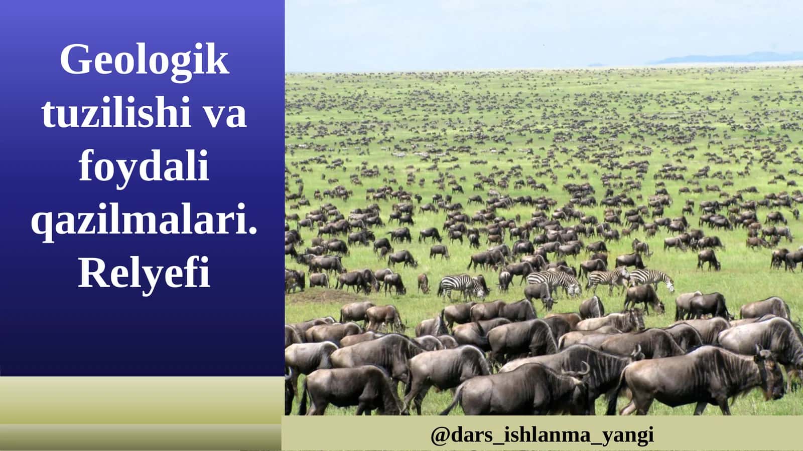 Geologik tuzilishi va foydali qazilmalari 1