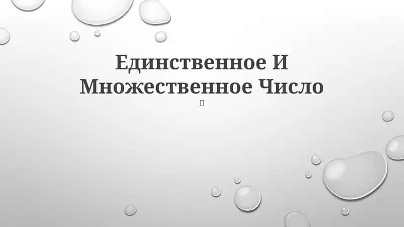 Единственное И Множественное Число 1