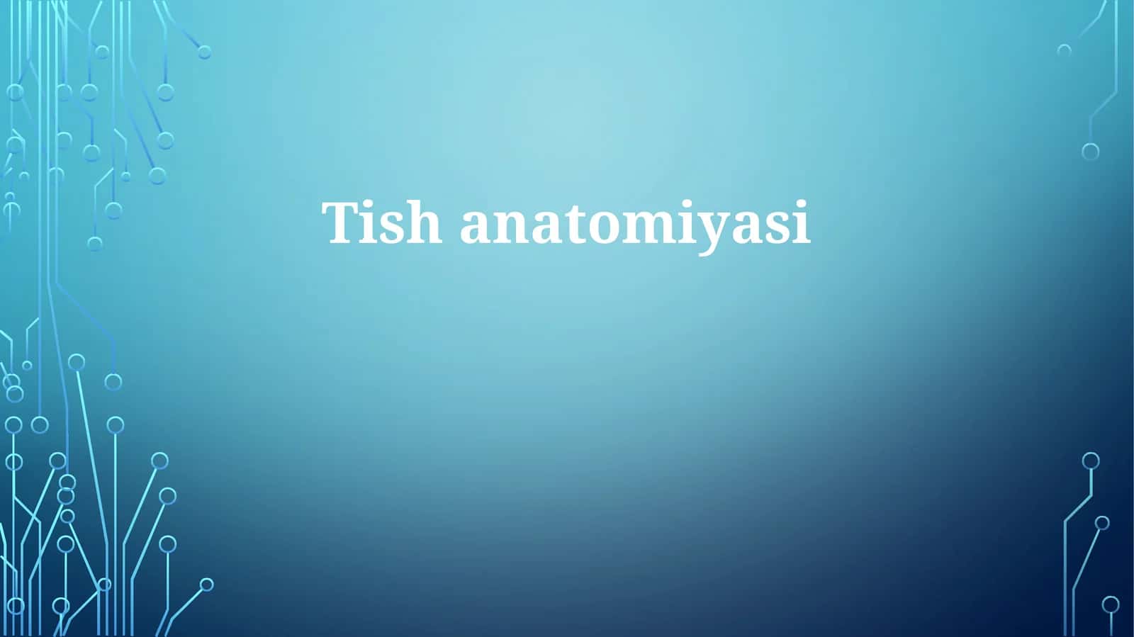 Taloq anatomiyasi va gistologiyasi 1