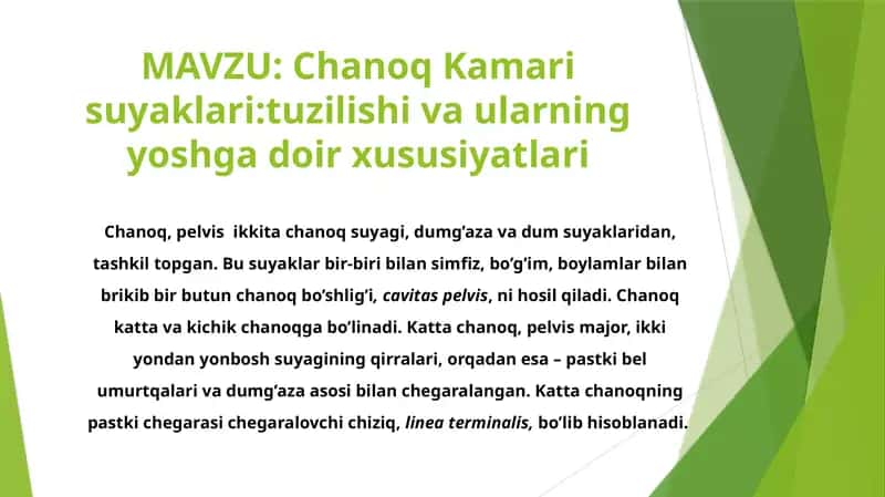 ChanoqKamarisuyaklari:tuzilishivaularningyoshgadoirxususiyatlari 1