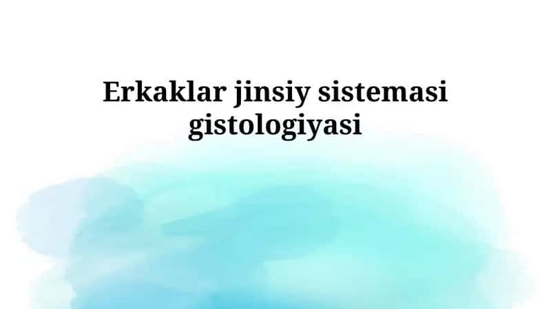 Erkaklar jinsiy sistemasi gistologiyasi 1