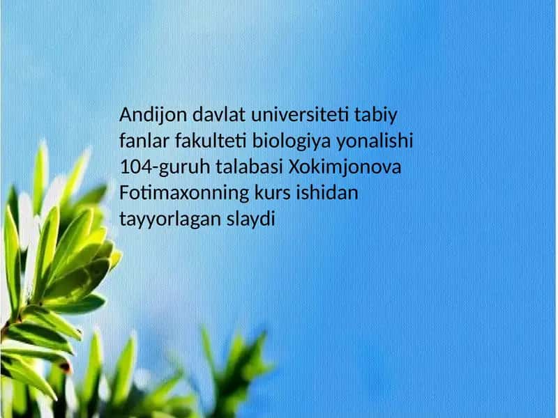 Qirqbo‘g‘imdoshlar oilasi 1