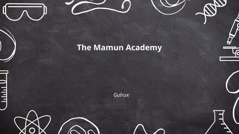 The Mamun Academy 1