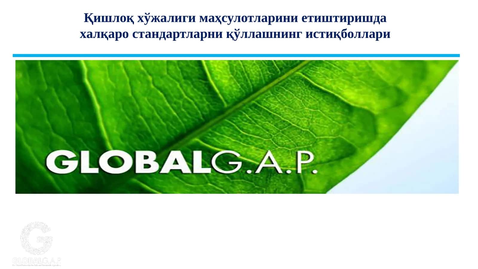 Қишлоқ хўжалиги маҳсулотларини етиштиришда халқаро стандартларни қўллашнинг истиқболлари 1