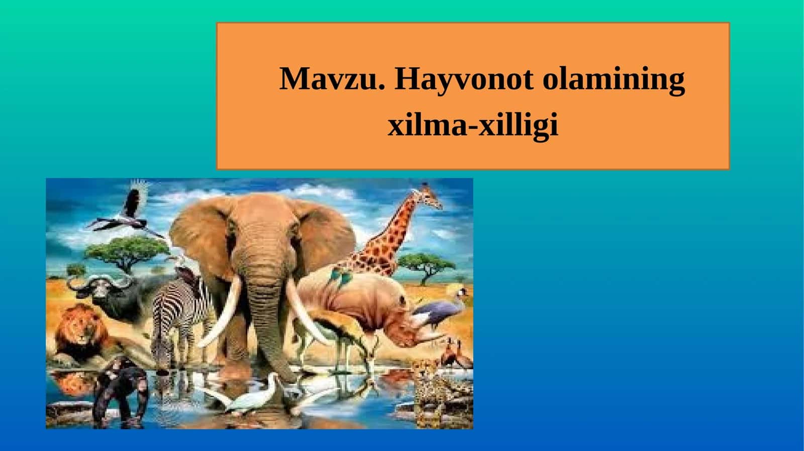 Hayvonot olamining xilma-xilligi 1