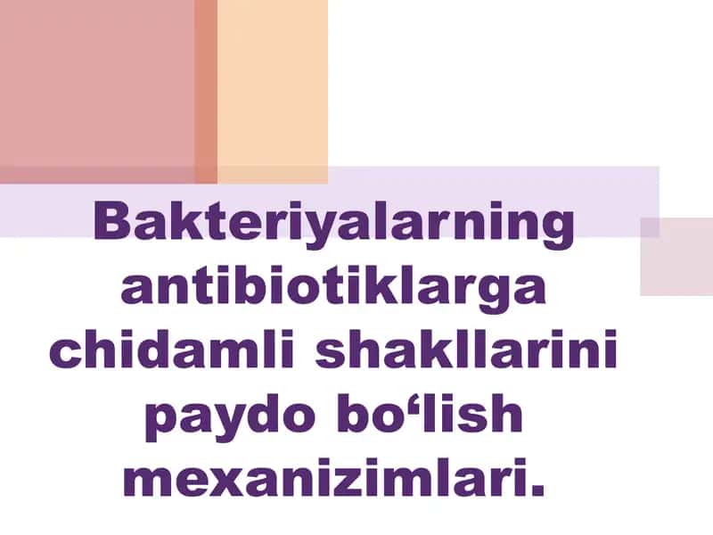 Bakteriyalarning antibiotiklarga chidamli shakllarini paydo bo‘lish mexanizimlari. 1