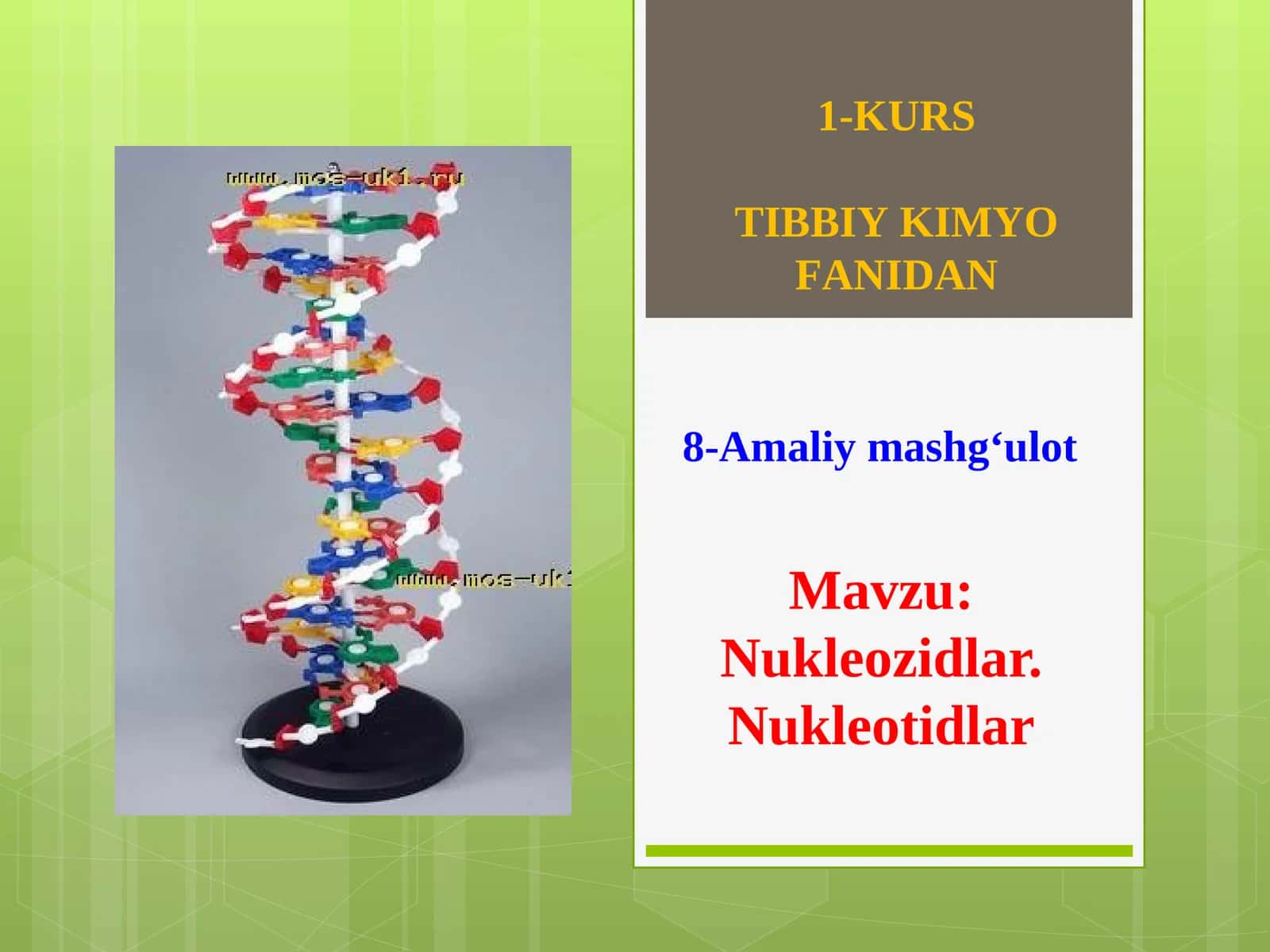 Nukleozidlar. Nukleotidlar 1