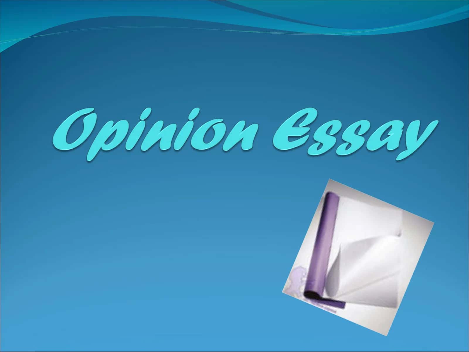 Opinion Essays 1