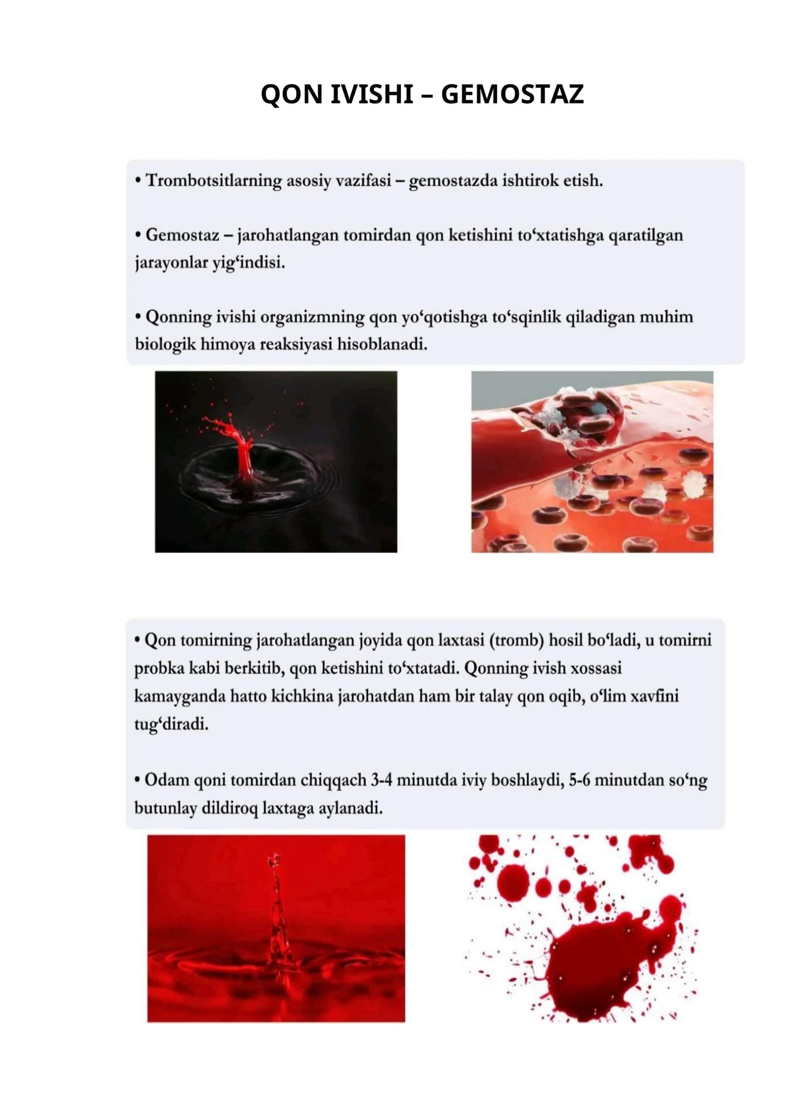 QON IVISHI – GEMOSTAZ 1