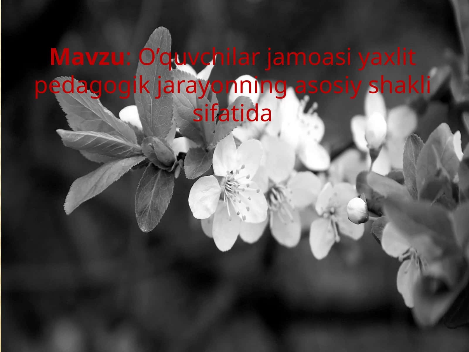 O’quvchilar jamoasi yaxlit pedagogik jarayonning asosiy shakli sifatida 1