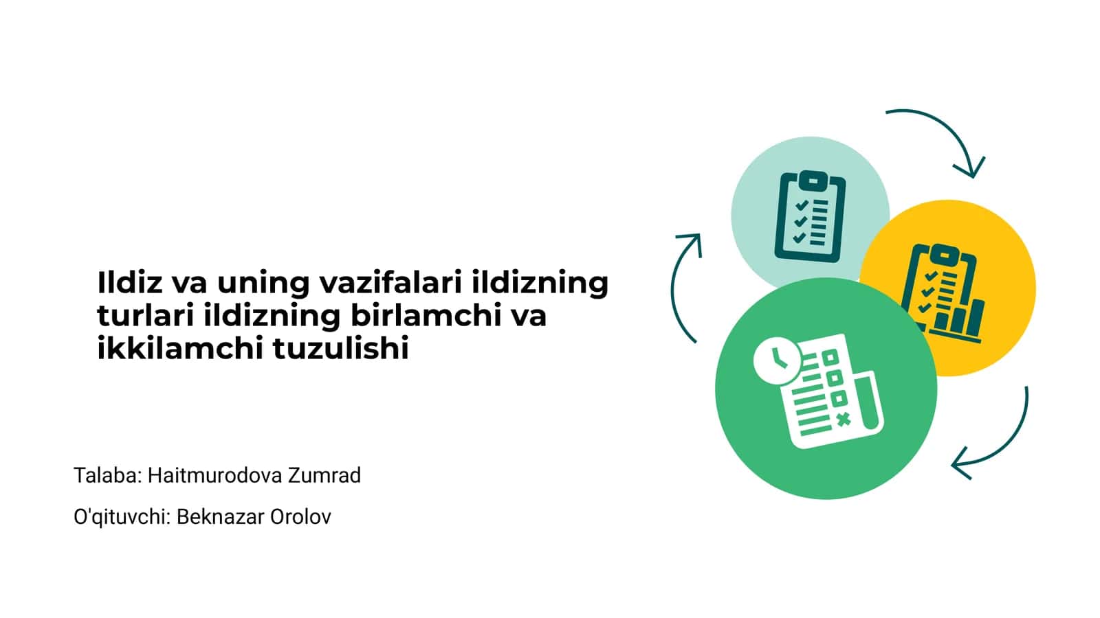 Ildiz va uning vazifalari 1