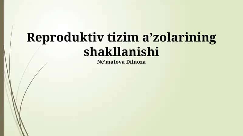 Reproduktiv tizim aʼzolarining shakllanishi 1