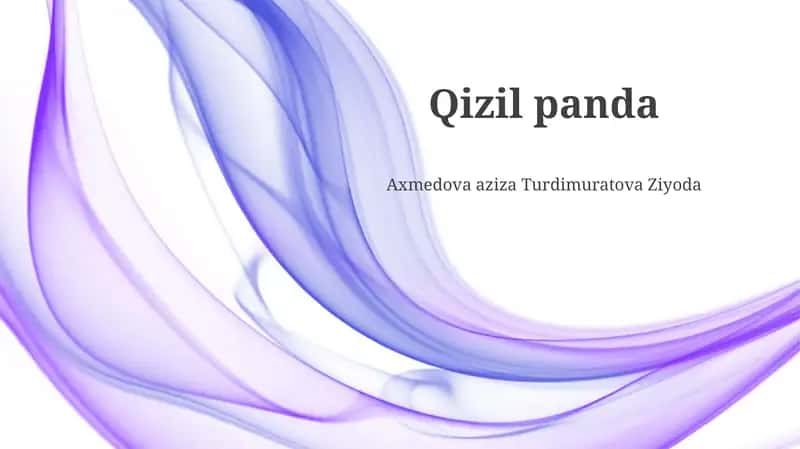 Qizil panda 1