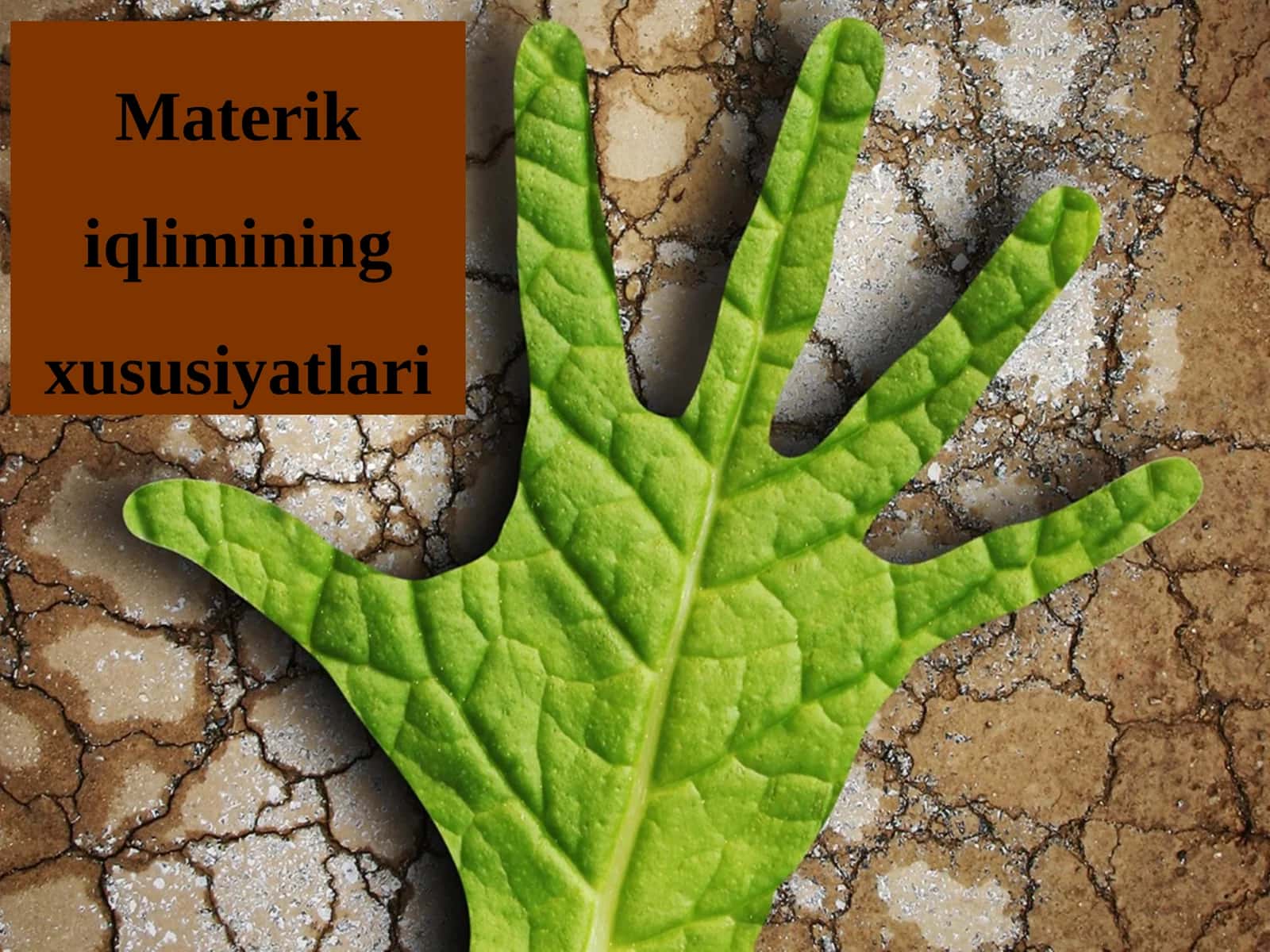 Materik iqlimining xususiyatlari 1