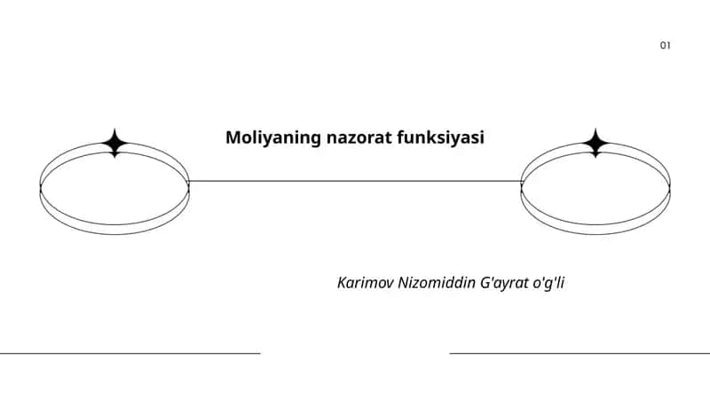 Moliyaning nazorat funksiyasi 1