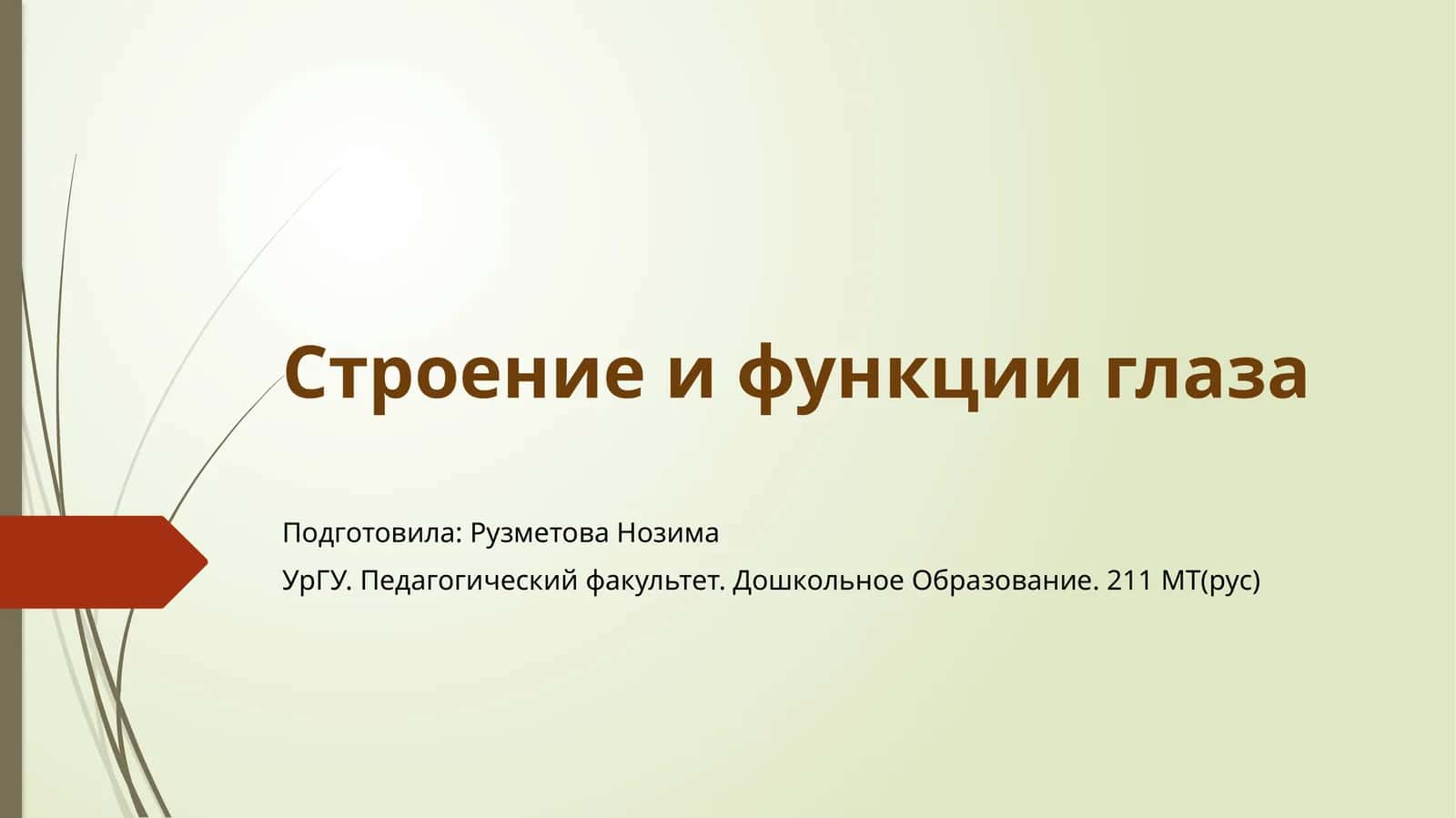 Строение и функции глаза 1