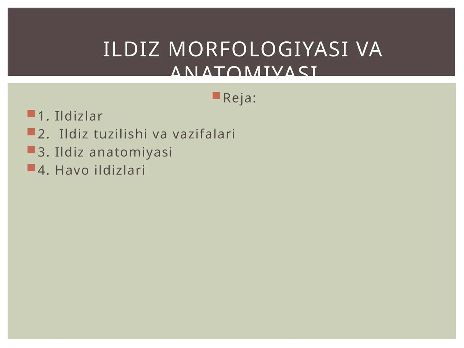 Ildiz anatomiyasi 1