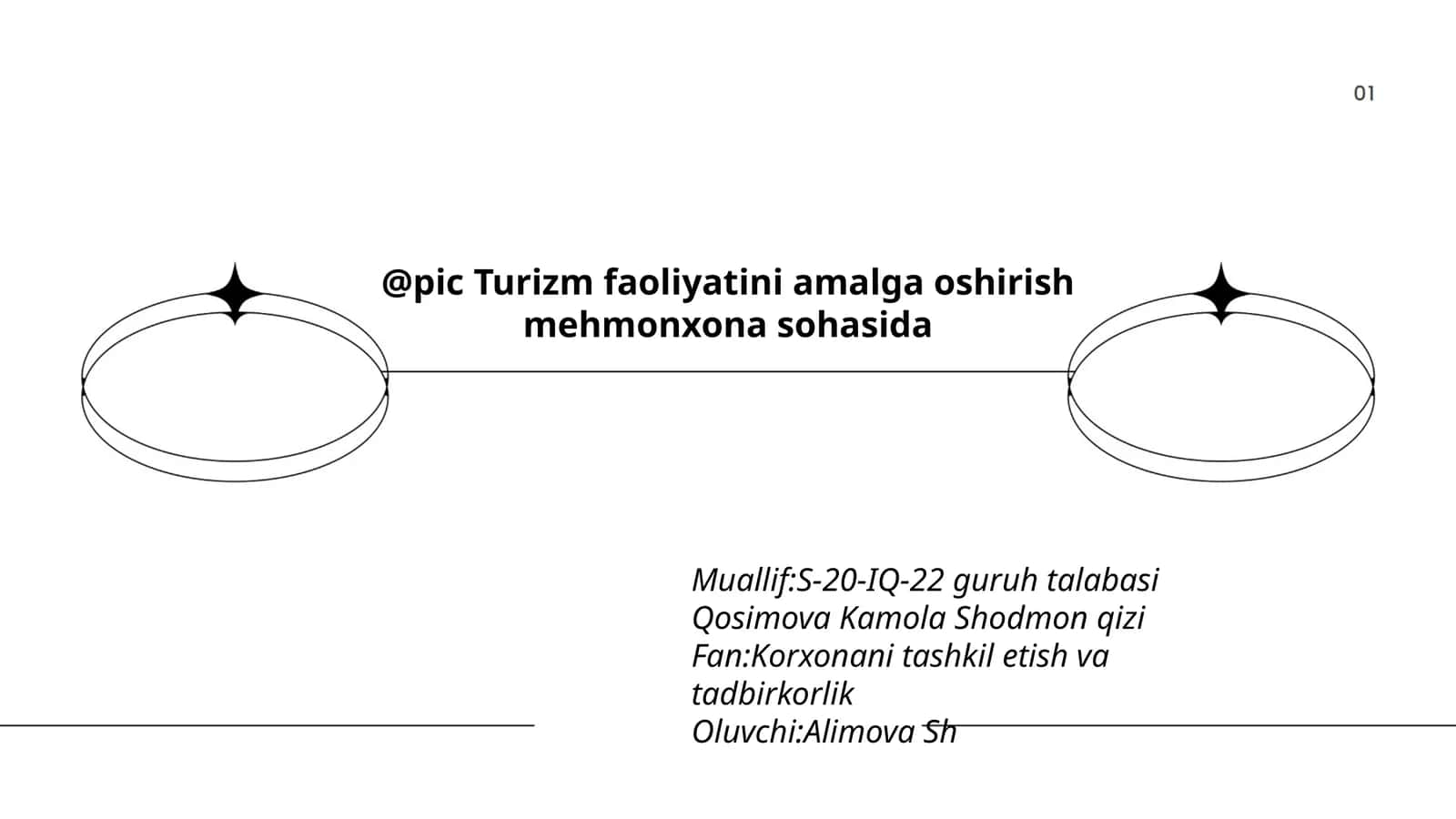 Turizm faoliyatini amalga oshirish mehmonxona sohasida 1