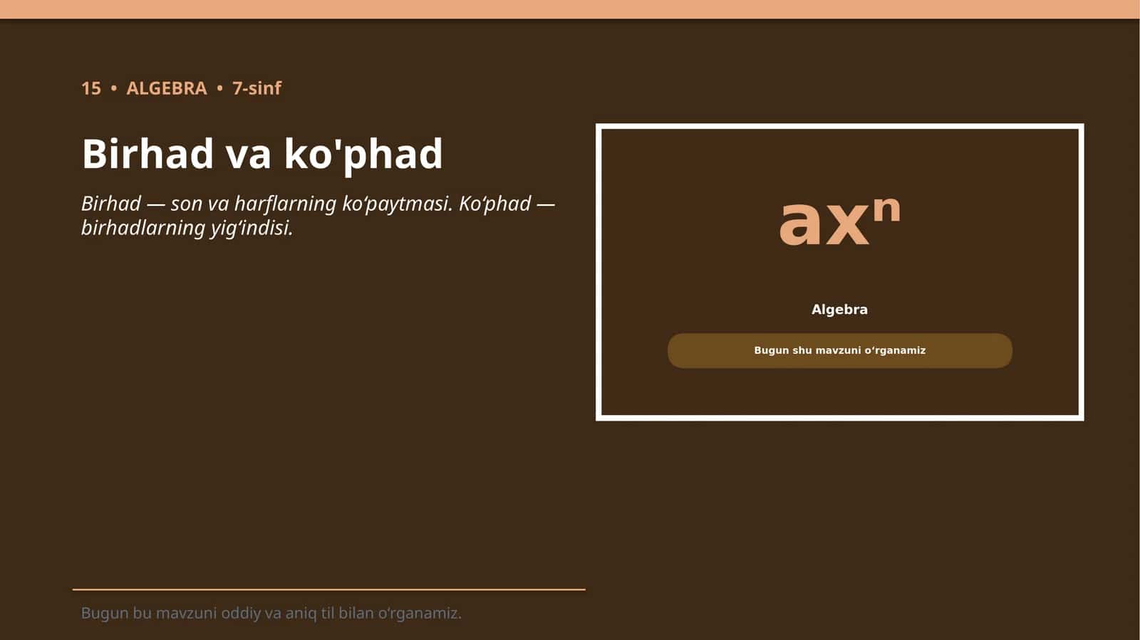 Birhad va ko'phad 1