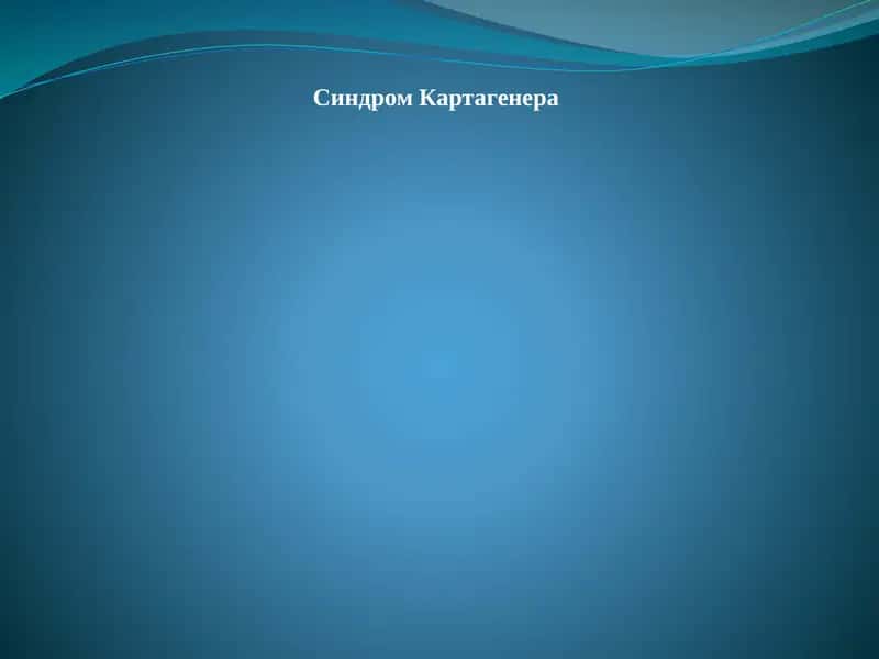 Синдром Картагенера 1