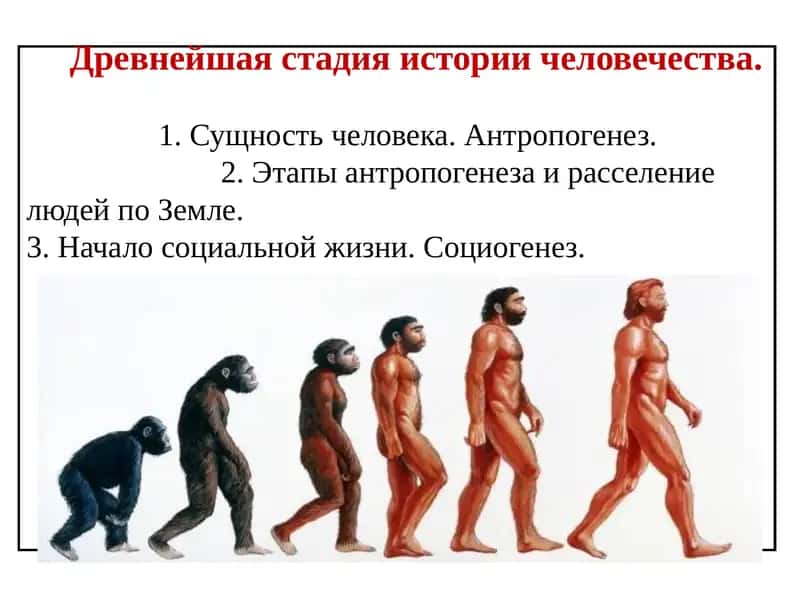 Древнейшая стадия истории человечества 1