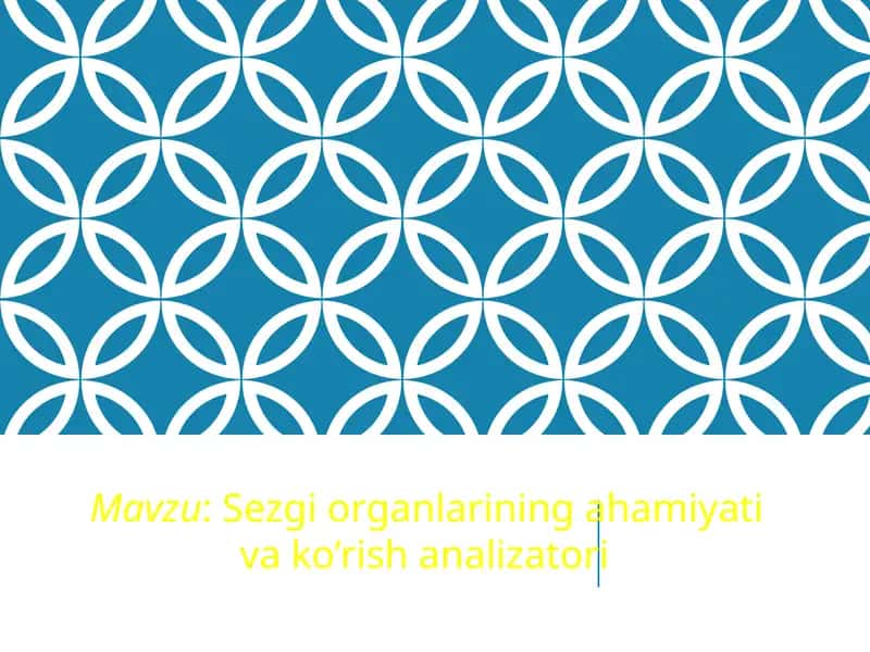 Sezgiorganlariningahamiyativako’rishanalizatori 1