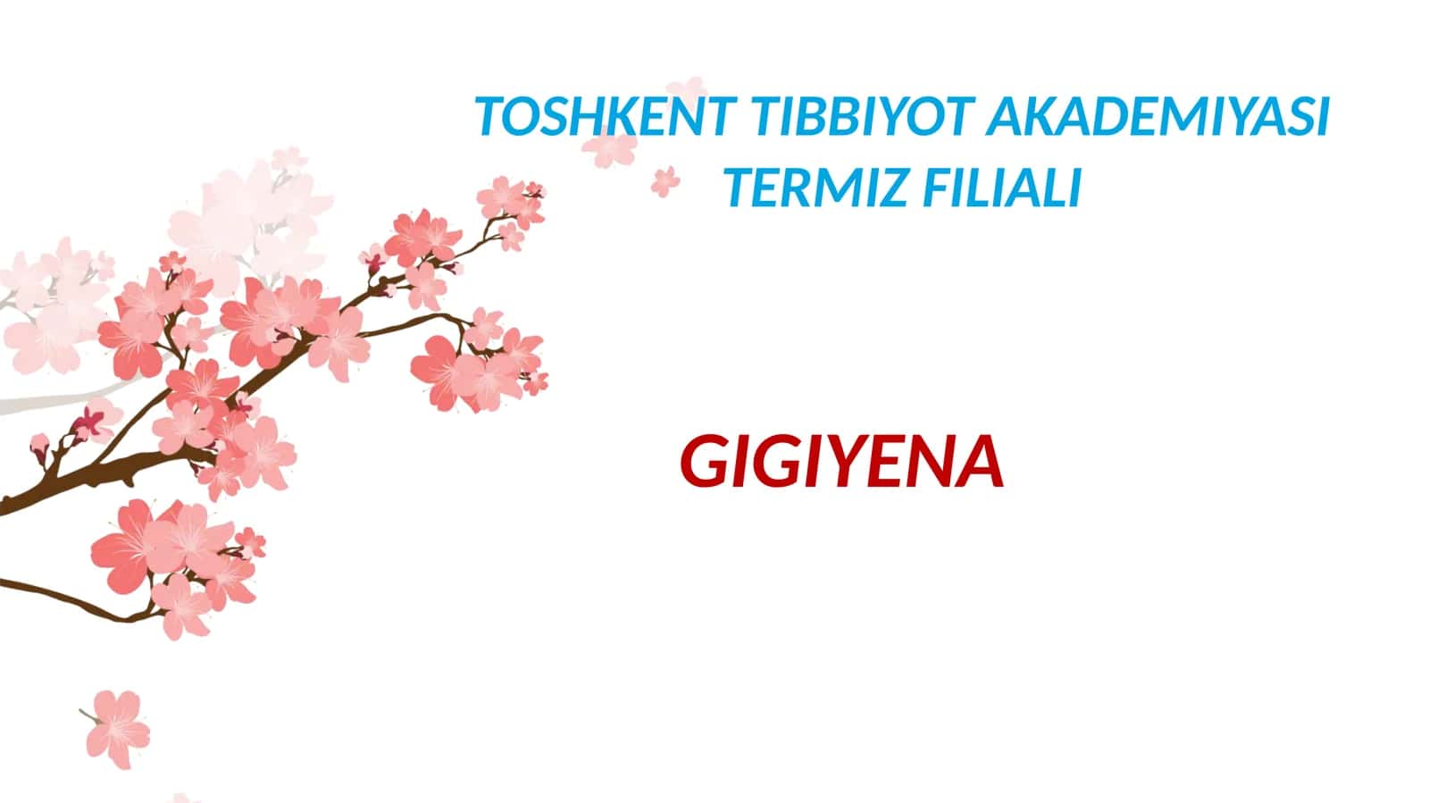 OZIQ-OVQAT MAHSULOTLARIGA QOʼYILADIGAN GIGIENIK TALABLAR 1
