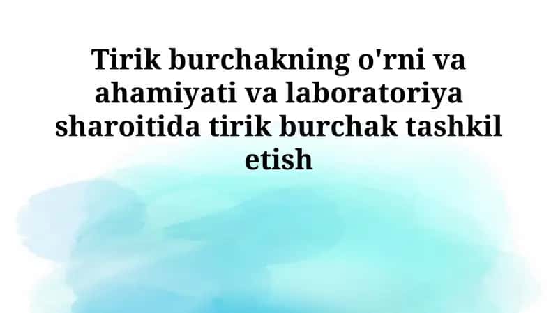 Tirik burchakning o'rni va ahamiyati va laboratoriya sharoitida tirik burchak tashkil etish 1