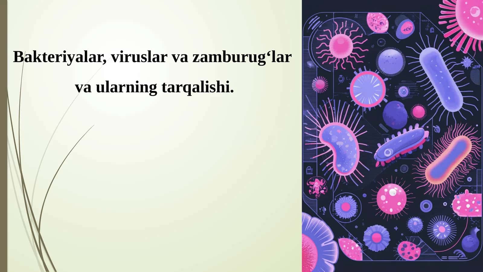 Bakteriyalar, viruslar vazamburug‘lar vaularningtarqalishi 1