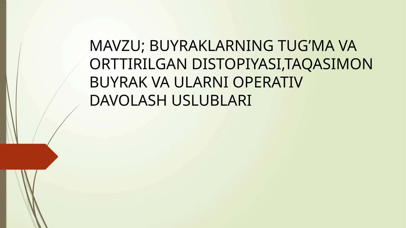 BUYRAKLARNING TUG’MA VA ORTTIRILGAN DISTOPIYASI,TAQASIMON BUYRAK VA ULARNI OPERATIV DAVOLASH USLUBLARI 1