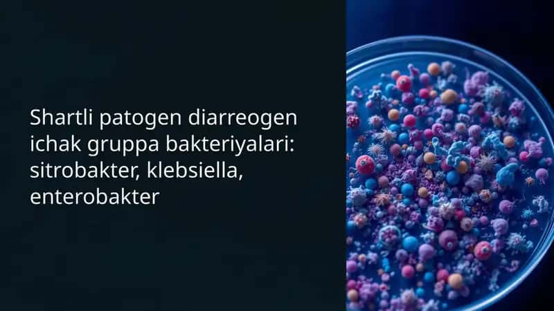 Sitrobakter, Klebsiella 1