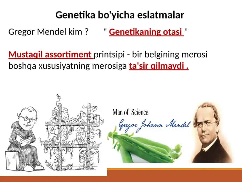 Genetika bo'yicha eslatmalar 1