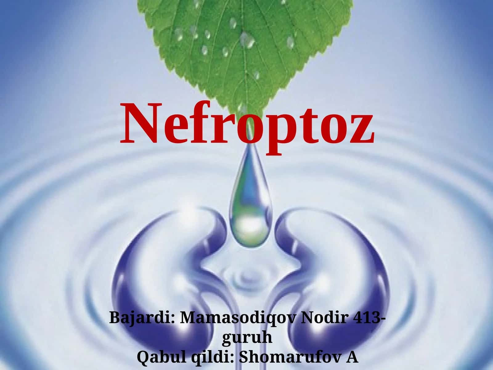 Nefroptoz 1