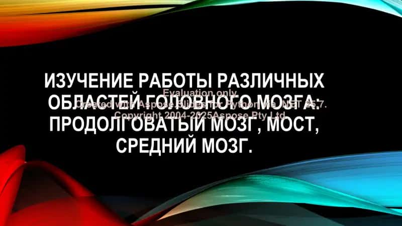 Изучение работы различных областей головного мозга 1