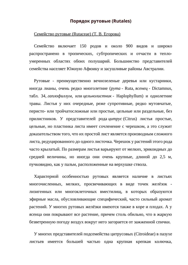 Семейство рутовые (Rutaceae) 1