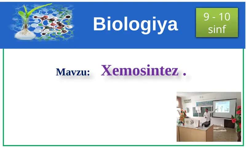 Xemosintez 1