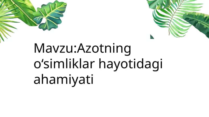 Azotning o‘simliklar hayotidagi ahamiyati 1
