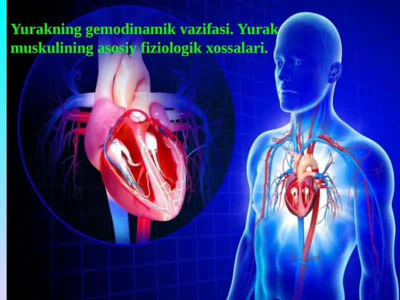 Yurakning gemodinamik vazifasi. Yurak muskulining asosiy fiziologik xossalari 1