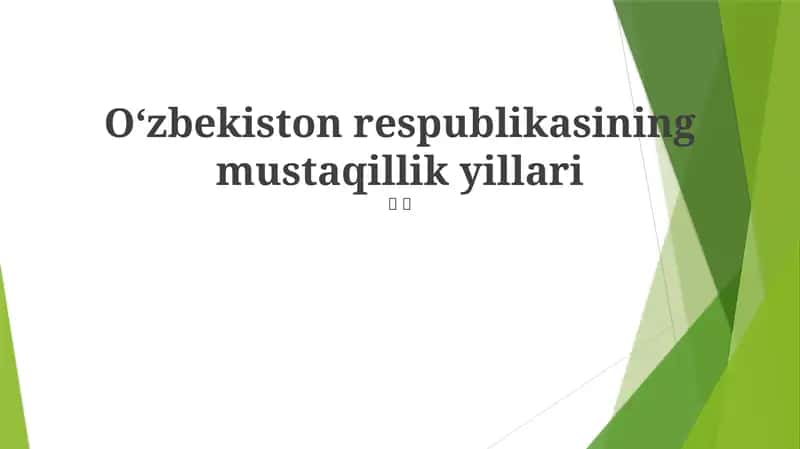 Mustaqillikning Dastlabki Yillari 1