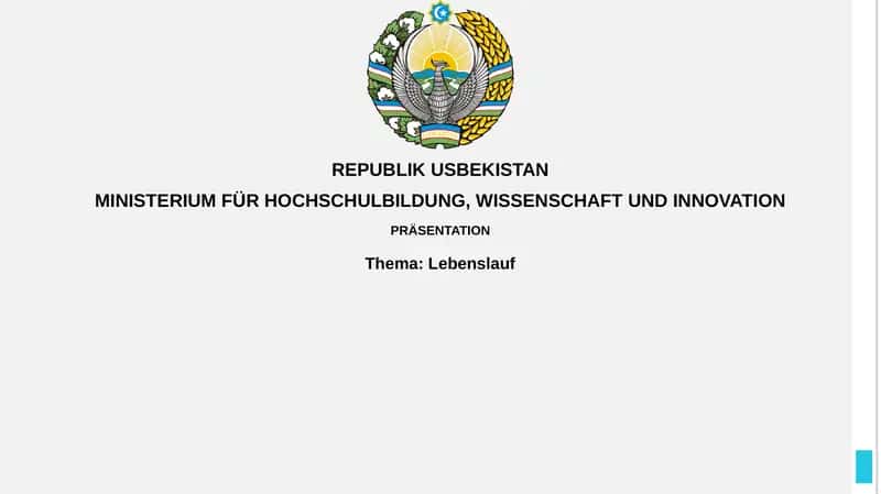 Der perfekte Lebenslauf 1