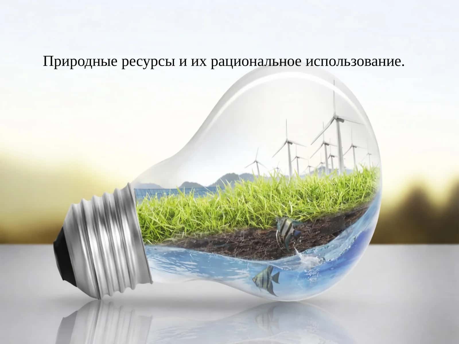 Природные ресурсы и их рациональное использование 1