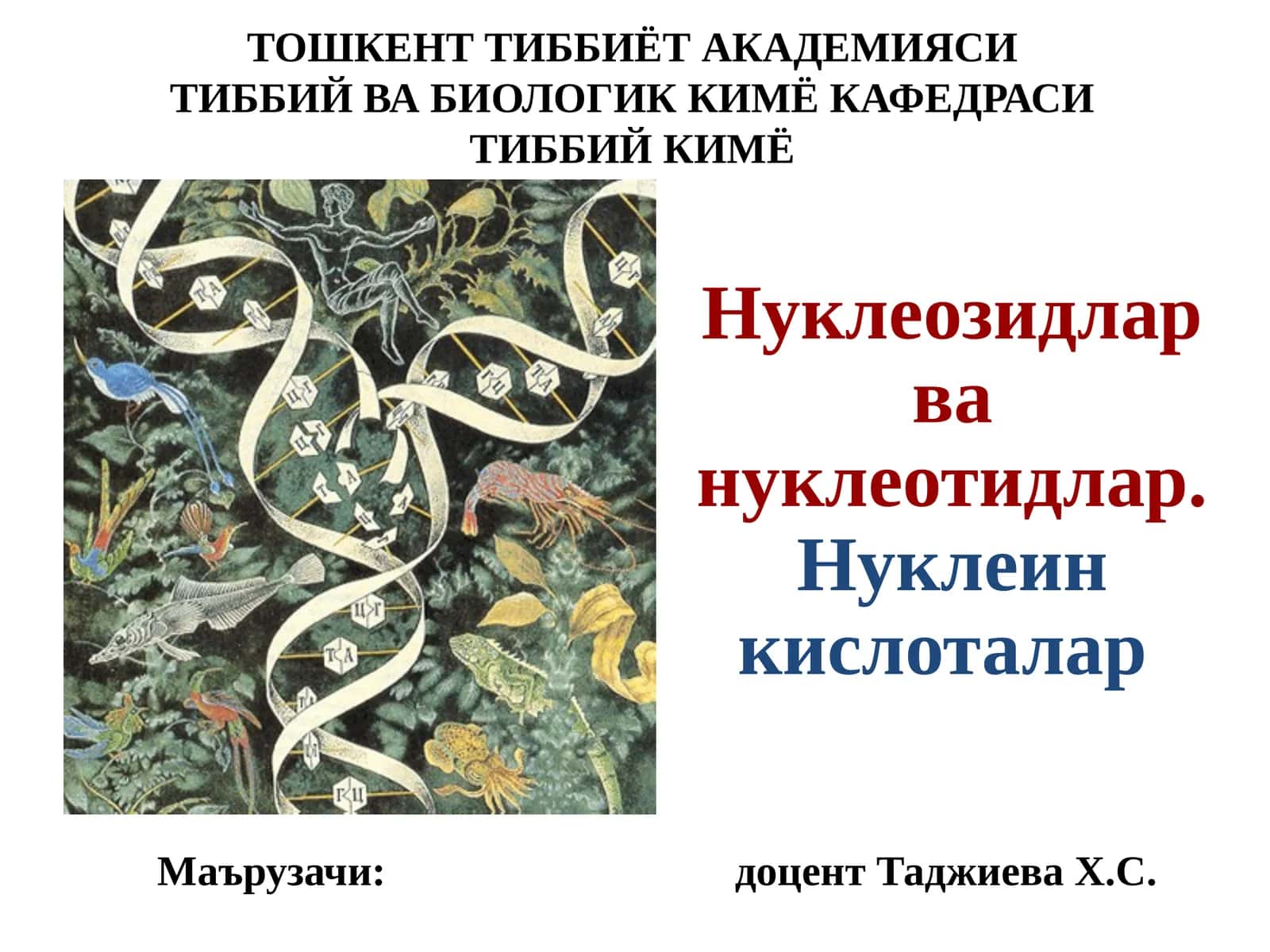 Нуклеозидлар ва нуклеотидлар. Нуклеин кислоталар 1