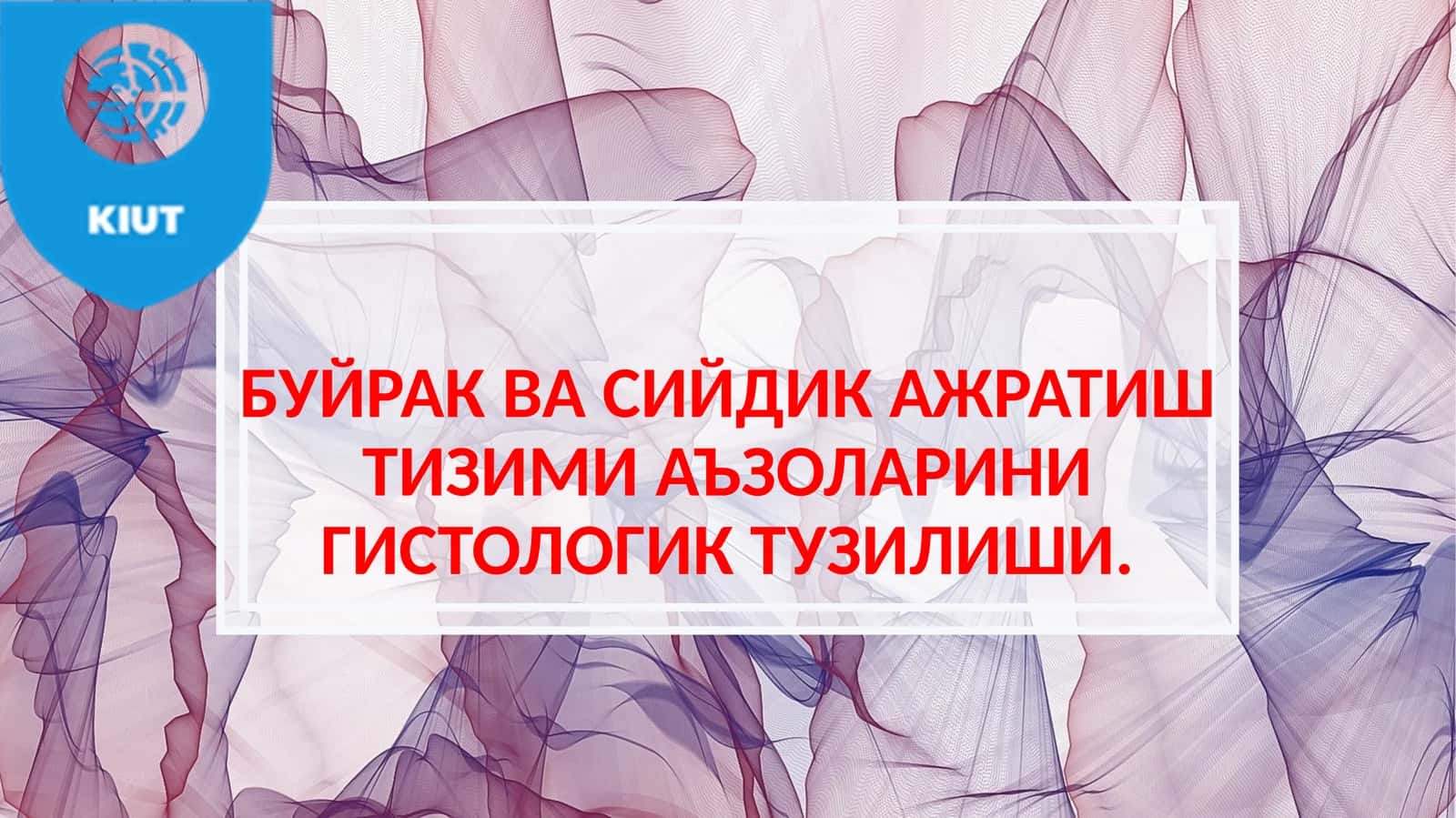БУЙРАК ВА СИЙДИК АЖРАТИШ ТИЗИМИ АЪЗОЛАРИНИ ГИСТОЛОГИК ТУЗИЛИШИ 1